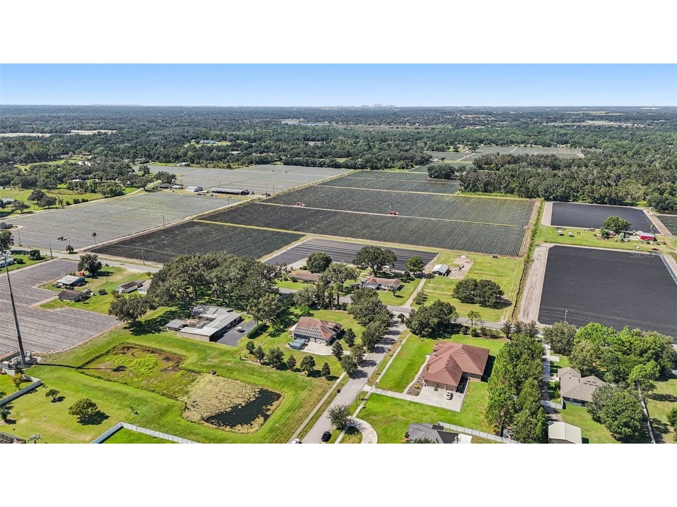 13101 Done Groven Drive Dover FL 33527 TB8438019 image55