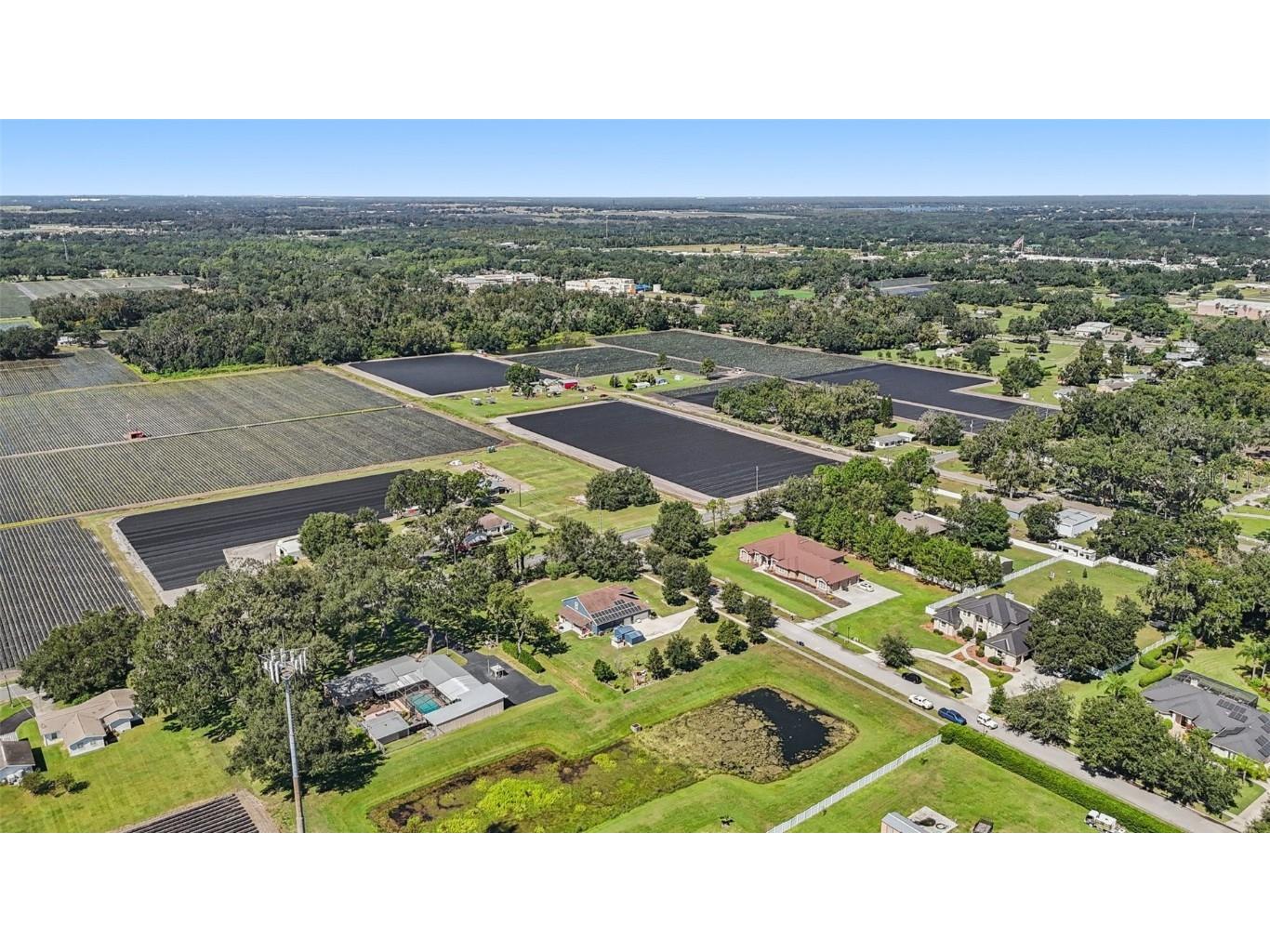 13101 Done Groven Drive Dover FL 33527 TB8438019 image56