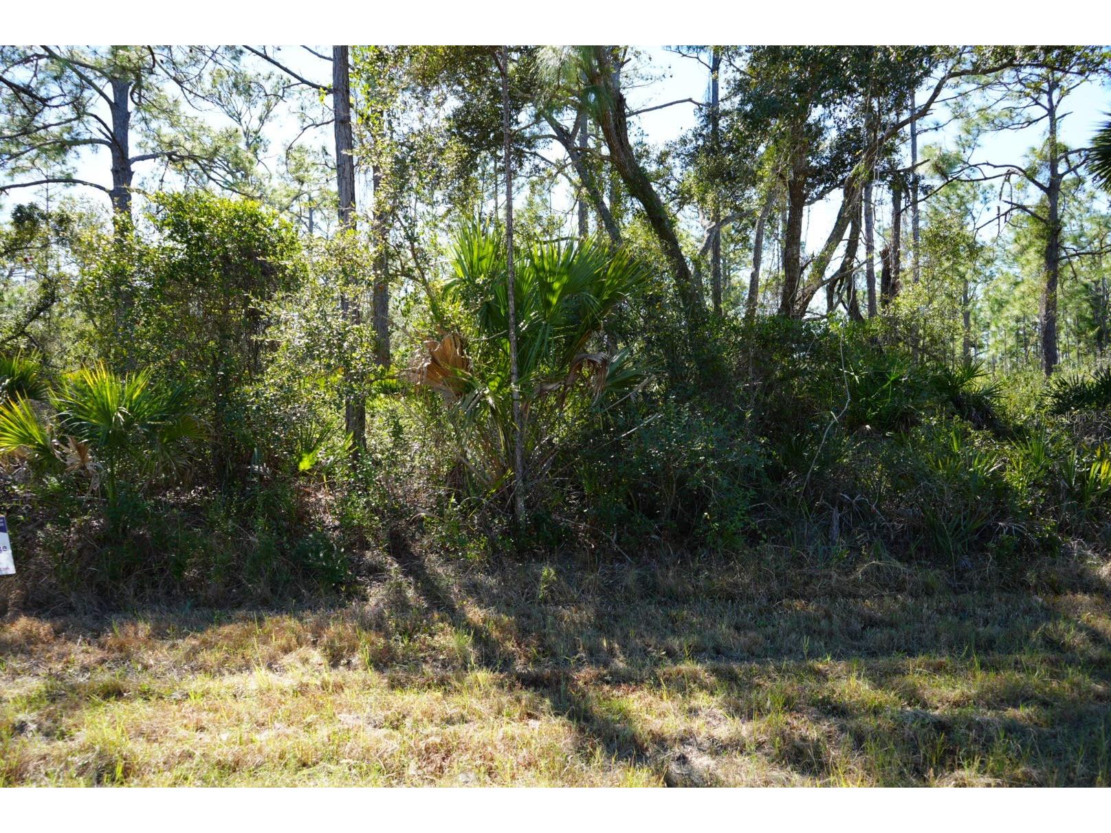 13101 Rankin Avenue Port Charlotte FL 33953 C7520982 image1