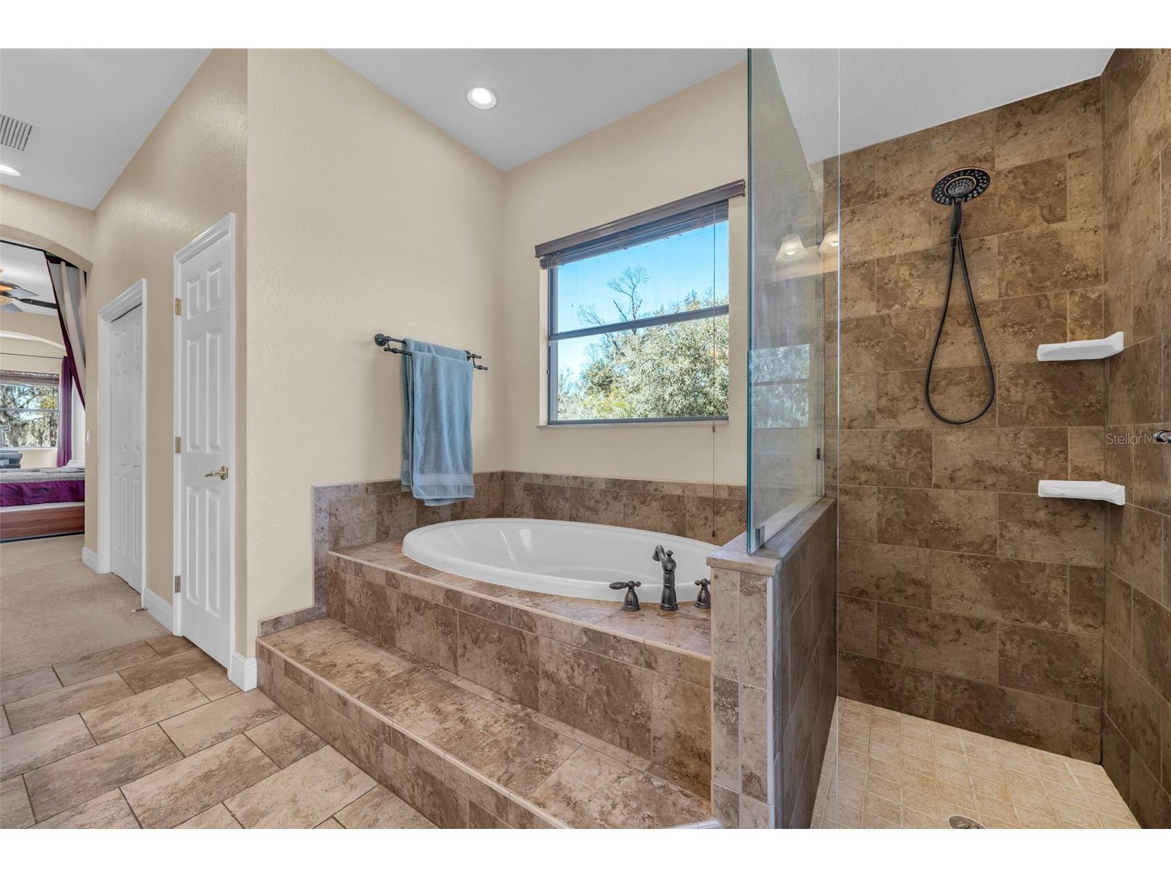 13101 Shadow Run Boulevard Riverview FL 33569 - LAKE GRADY TB8481715 image29