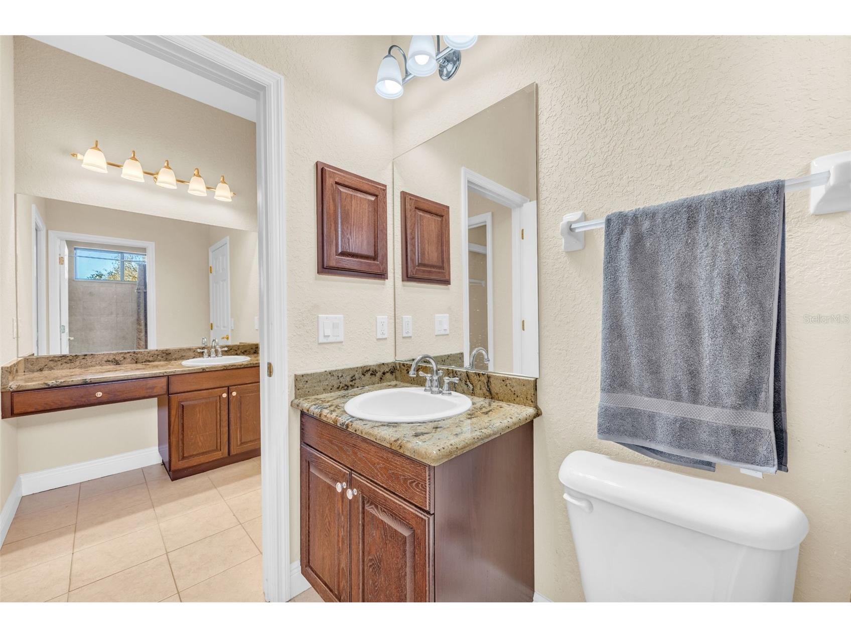13101 Shadow Run Boulevard Riverview FL 33569 - LAKE GRADY TB8481715 image56