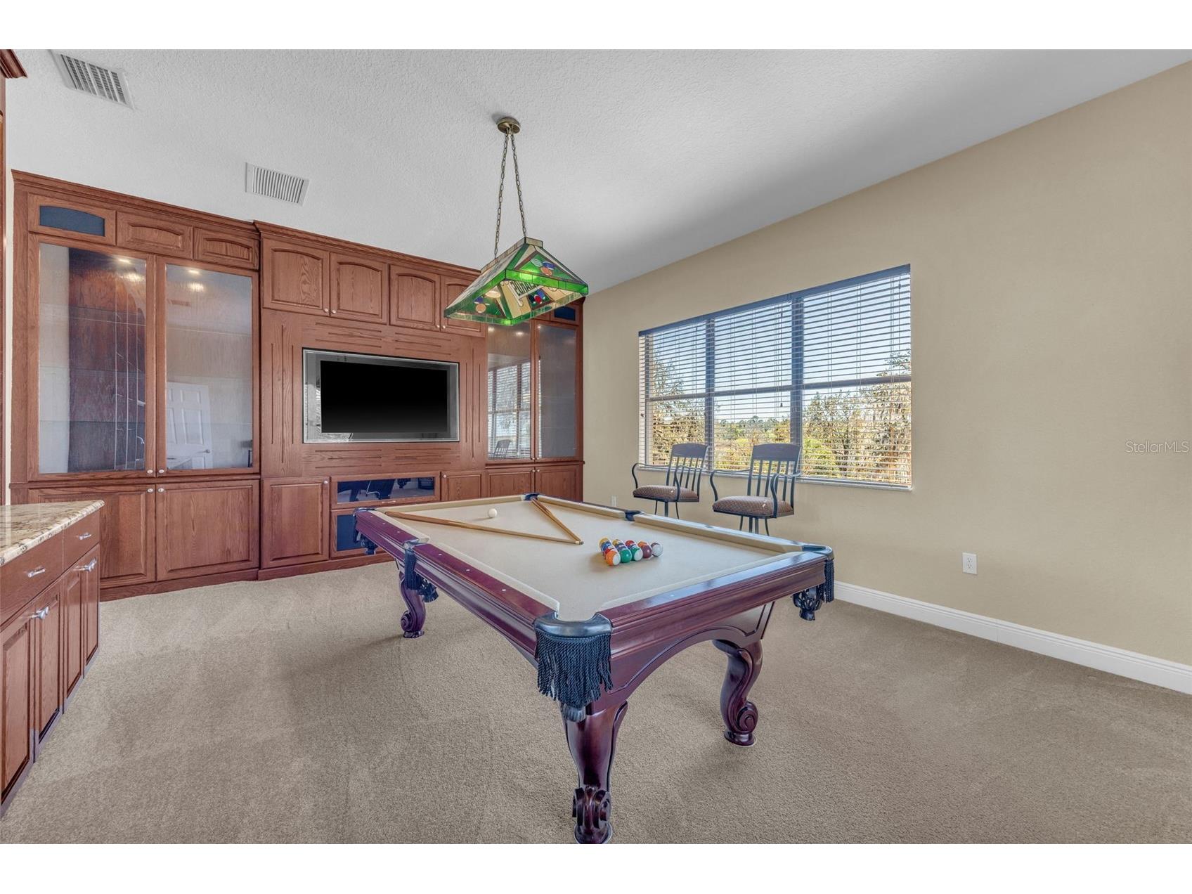 13101 Shadow Run Boulevard Riverview FL 33569 - LAKE GRADY TB8481715 image62