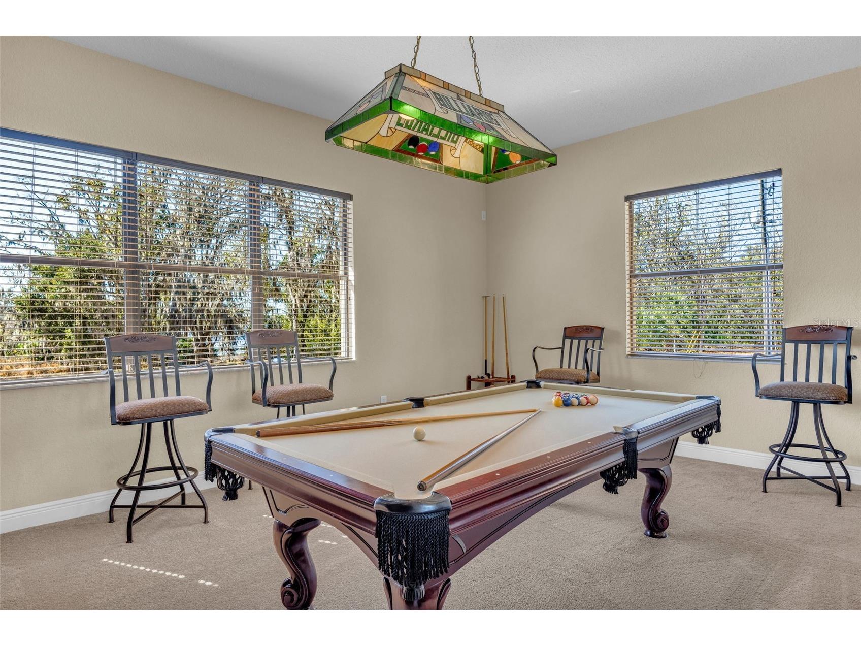 13101 Shadow Run Boulevard Riverview FL 33569 - LAKE GRADY TB8481715 image65