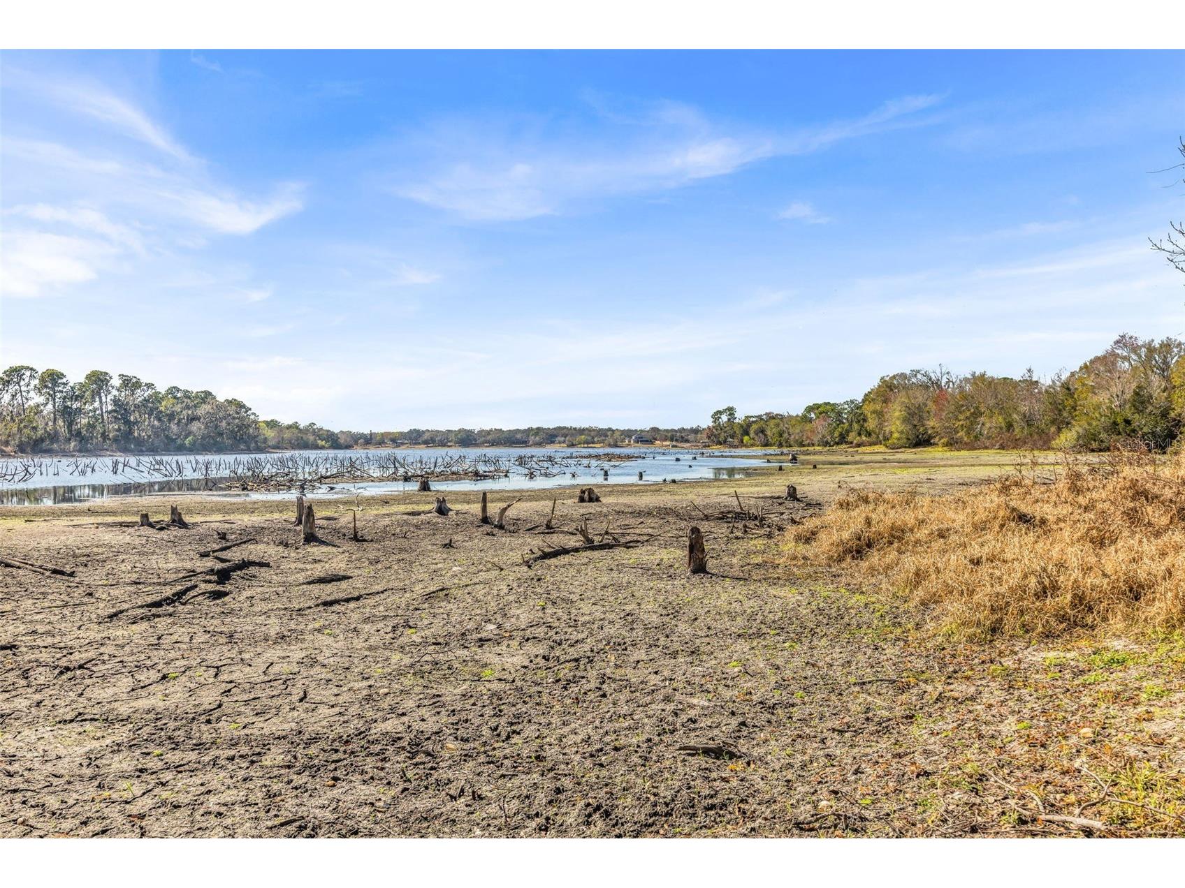 13101 Shadow Run Boulevard Riverview FL 33569 - LAKE GRADY TB8481715 image75