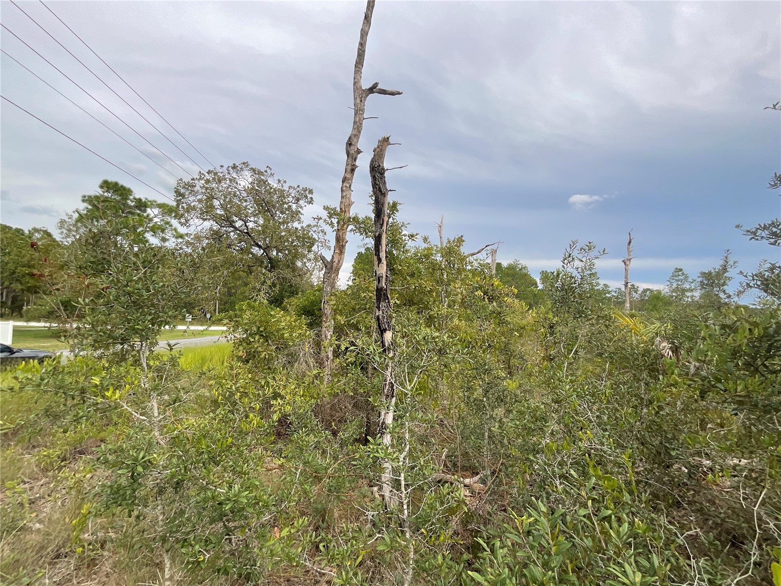 13101 Thrasher Avenue Weeki Wachee FL 34614 G5102176 image3