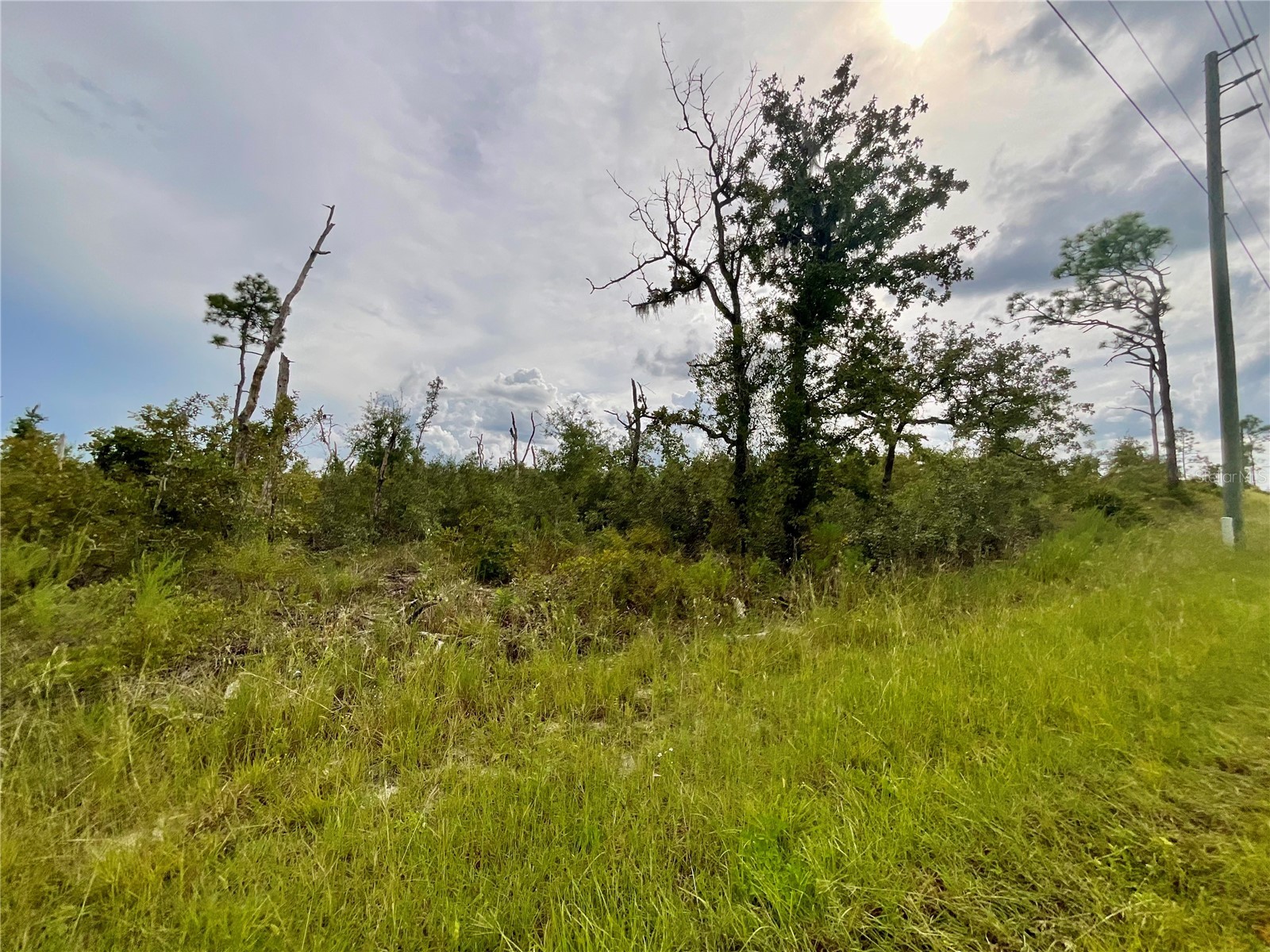 13101 Thrasher Avenue Weeki Wachee FL 34614 G5102176 image5