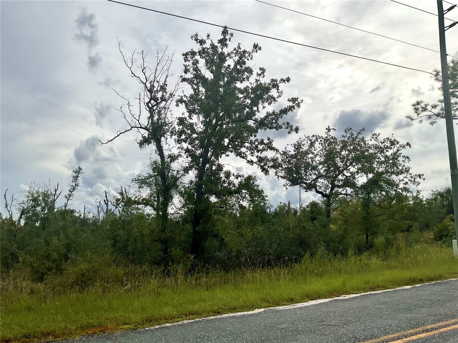 13101 Thrasher Avenue Weeki Wachee FL 34614 G5102176 image9