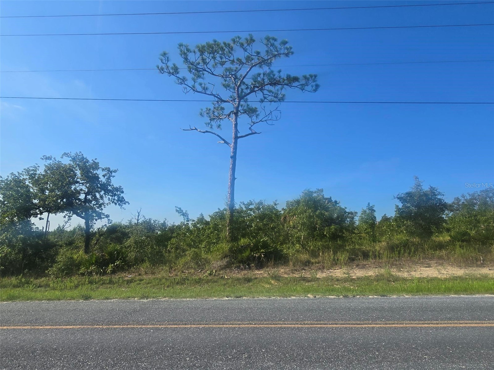 13101 Thrasher Avenue Weeki Wachee FL 34614 W7887849 image1