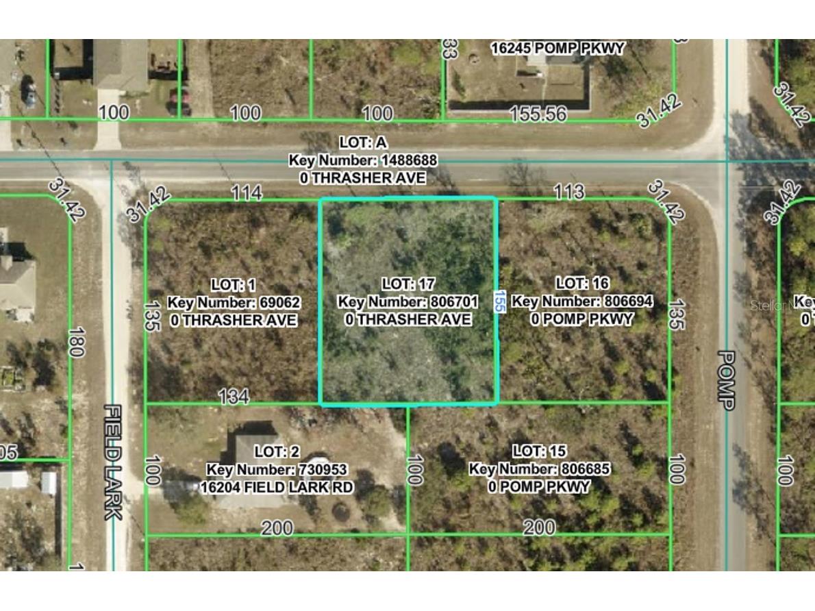 13101 Thrasher Avenue Weeki Wachee FL 34614 W7887849 image2