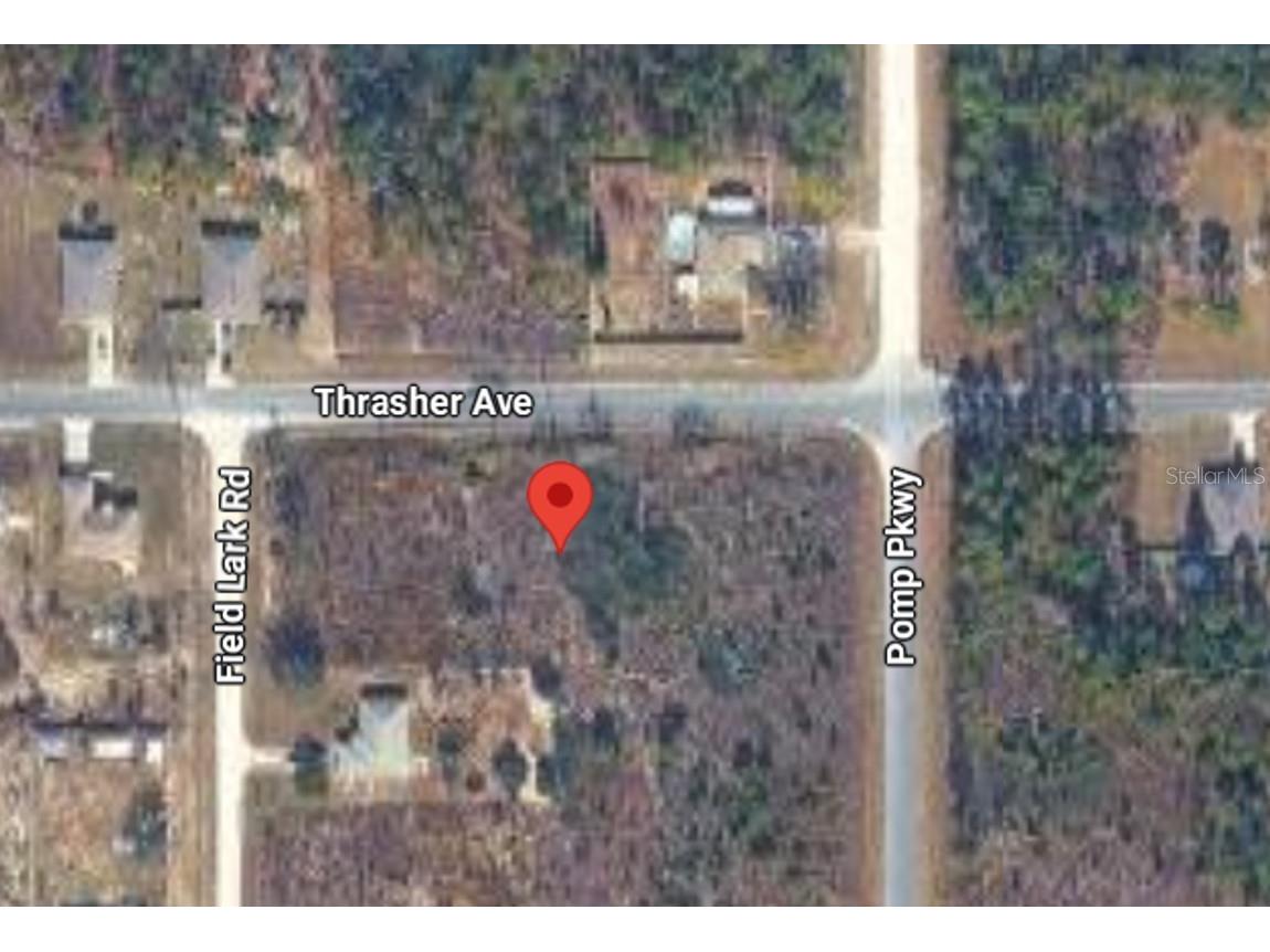 13101 Thrasher Avenue Weeki Wachee FL 34614 W7887849 image4