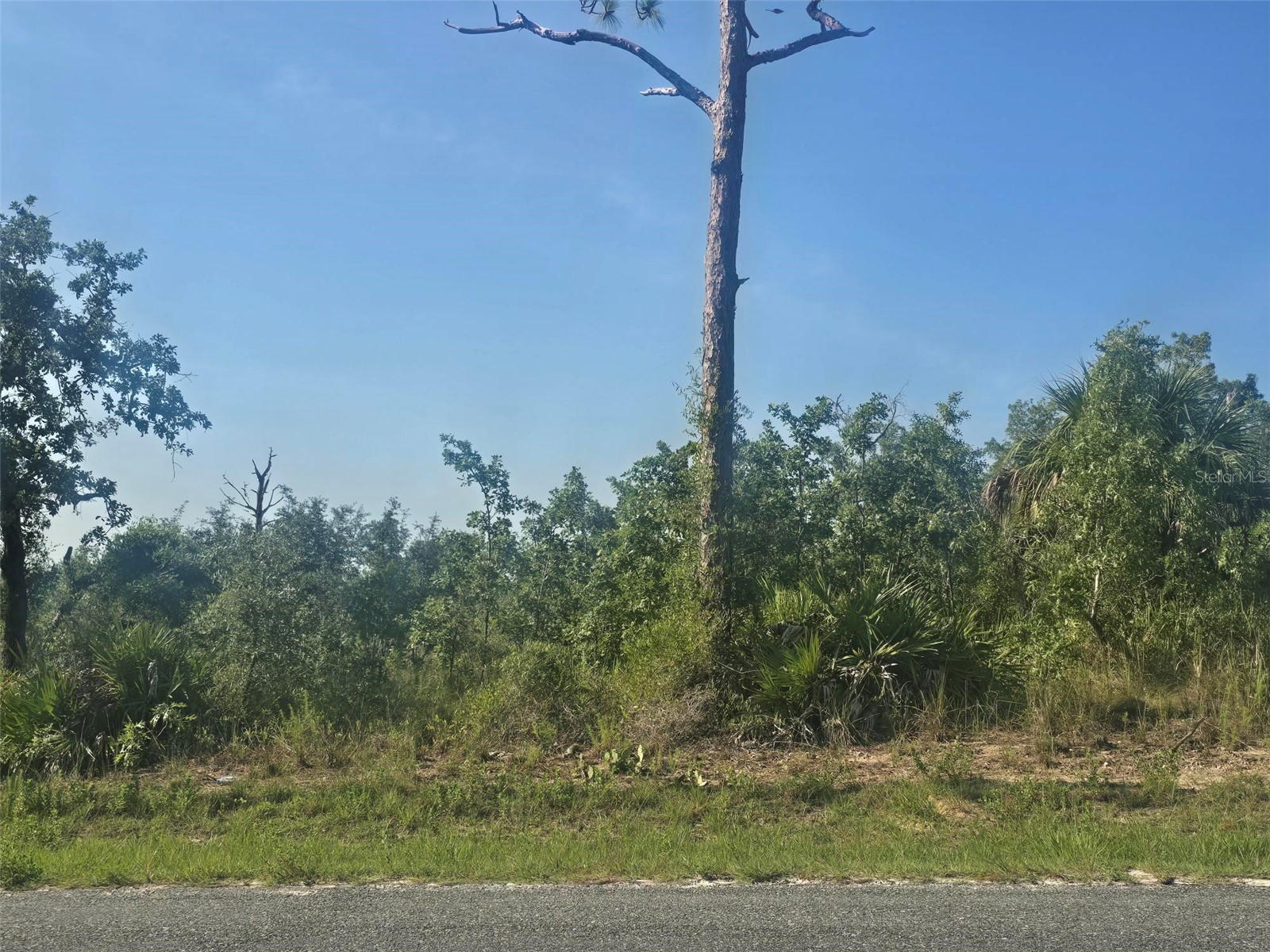 13101 Thrasher Avenue Weeki Wachee FL 34614 W7887849 image5