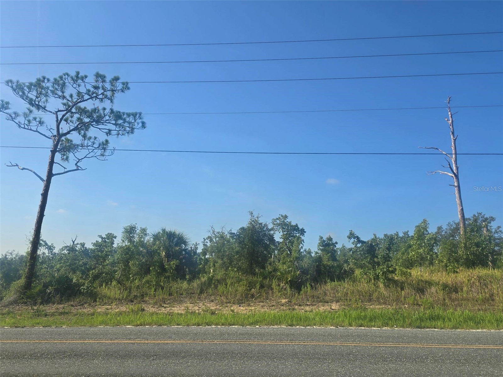 13101 Thrasher Avenue Weeki Wachee FL 34614 W7887849 image6