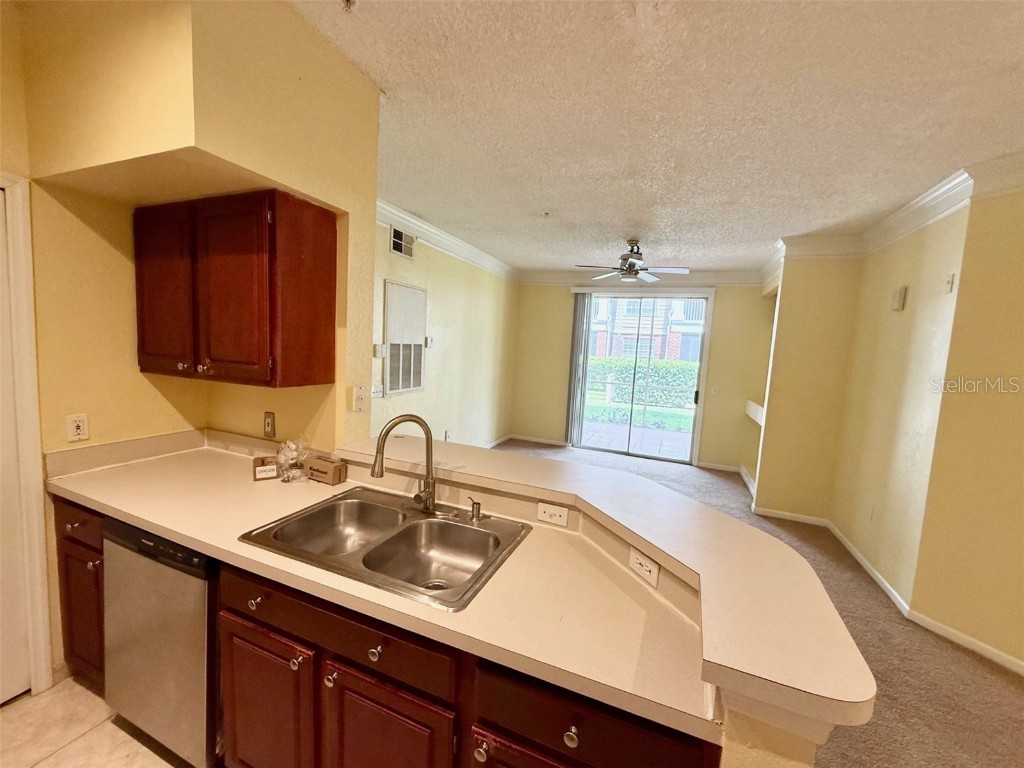 13102 Mulberry Park Drive #917 Orlando FL 32821 S5130386 image2