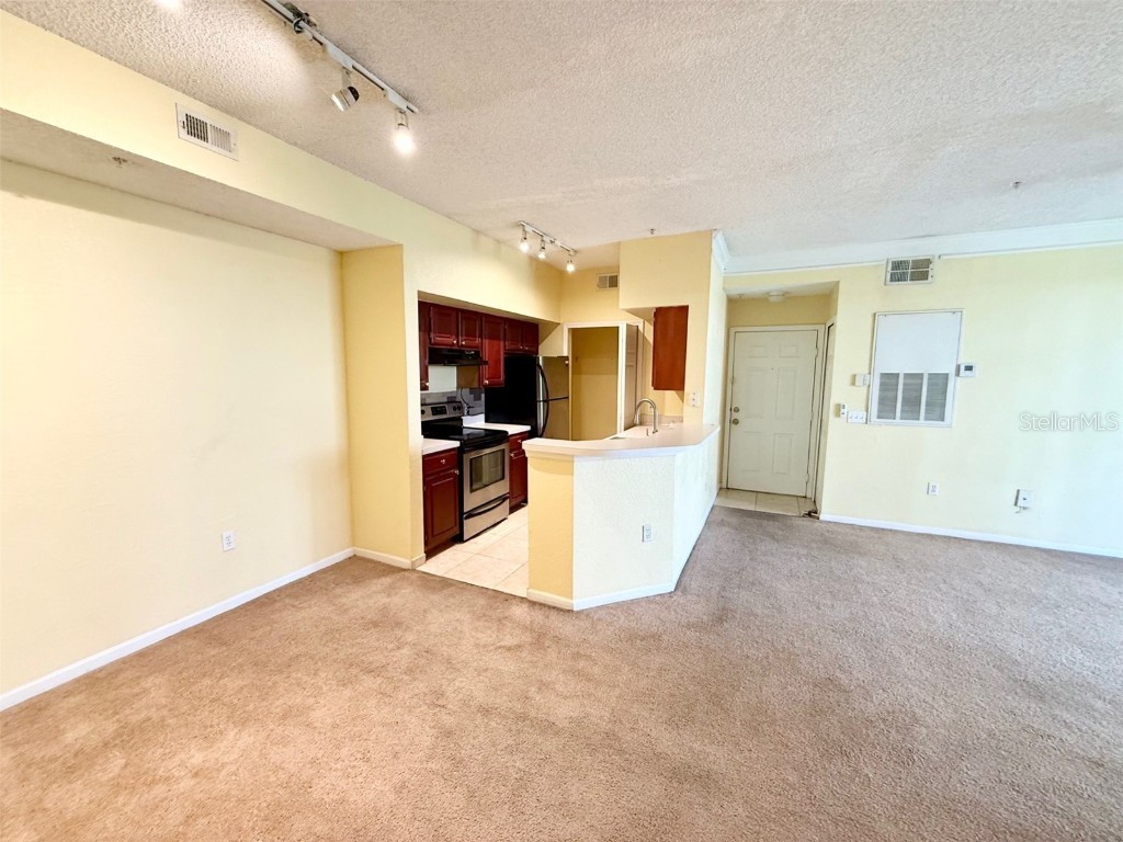 13102 Mulberry Park Drive #917 Orlando FL 32821 S5130386 image3