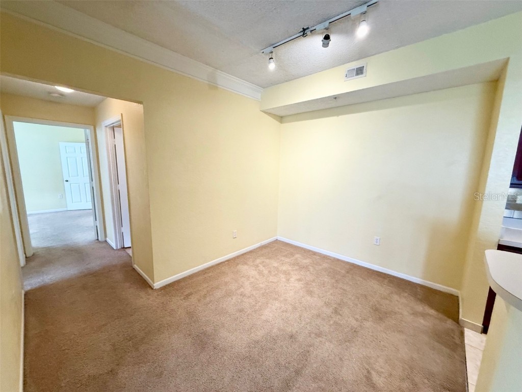 13102 Mulberry Park Drive #917 Orlando FL 32821 S5130386 image6