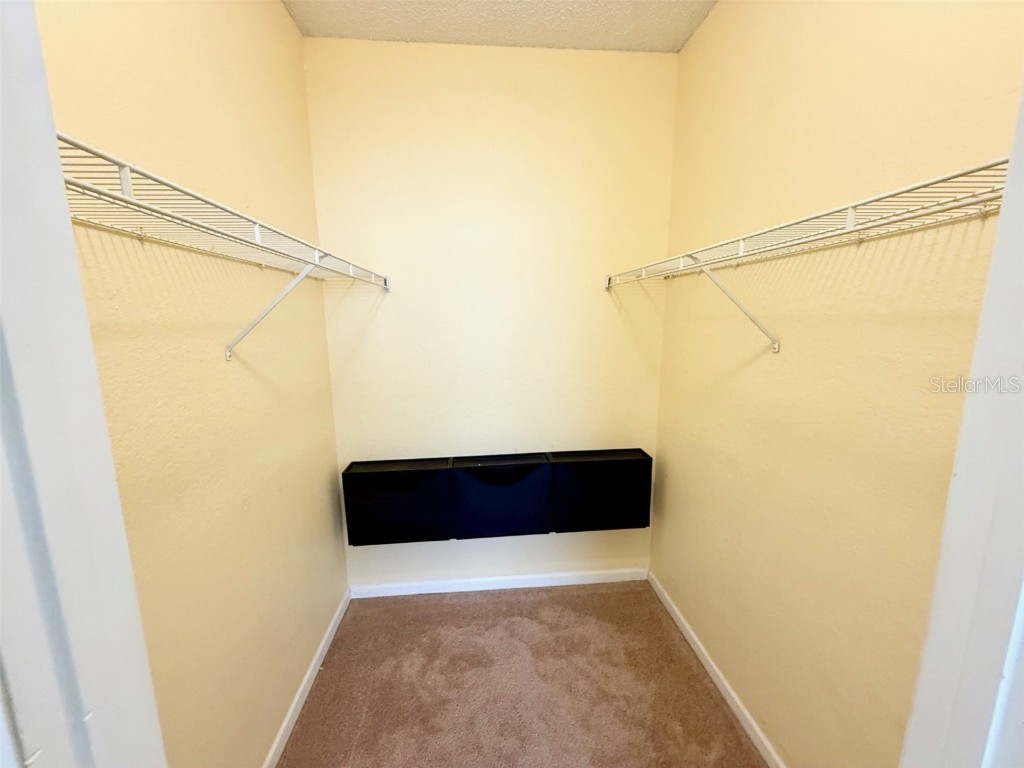 13102 Mulberry Park Drive #917 Orlando FL 32821 S5130386 image8