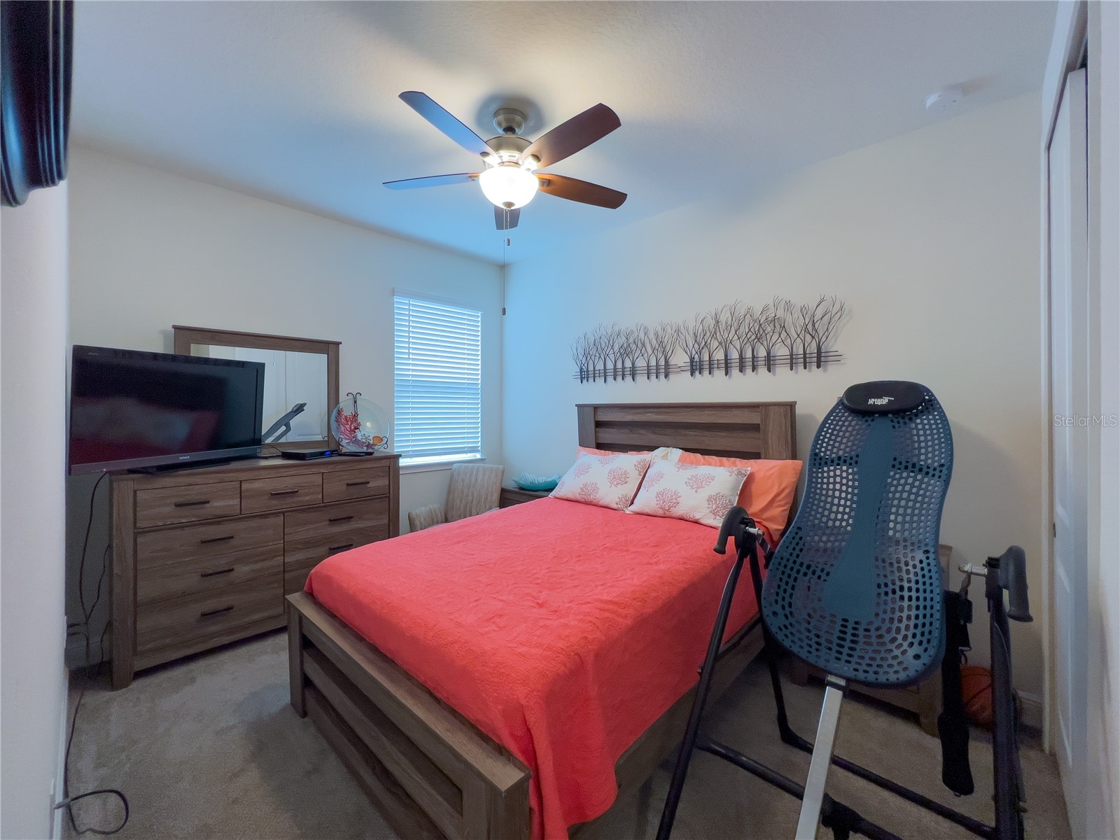 13102 Satin Lily Drive Riverview FL 33579 TB8475360 image14