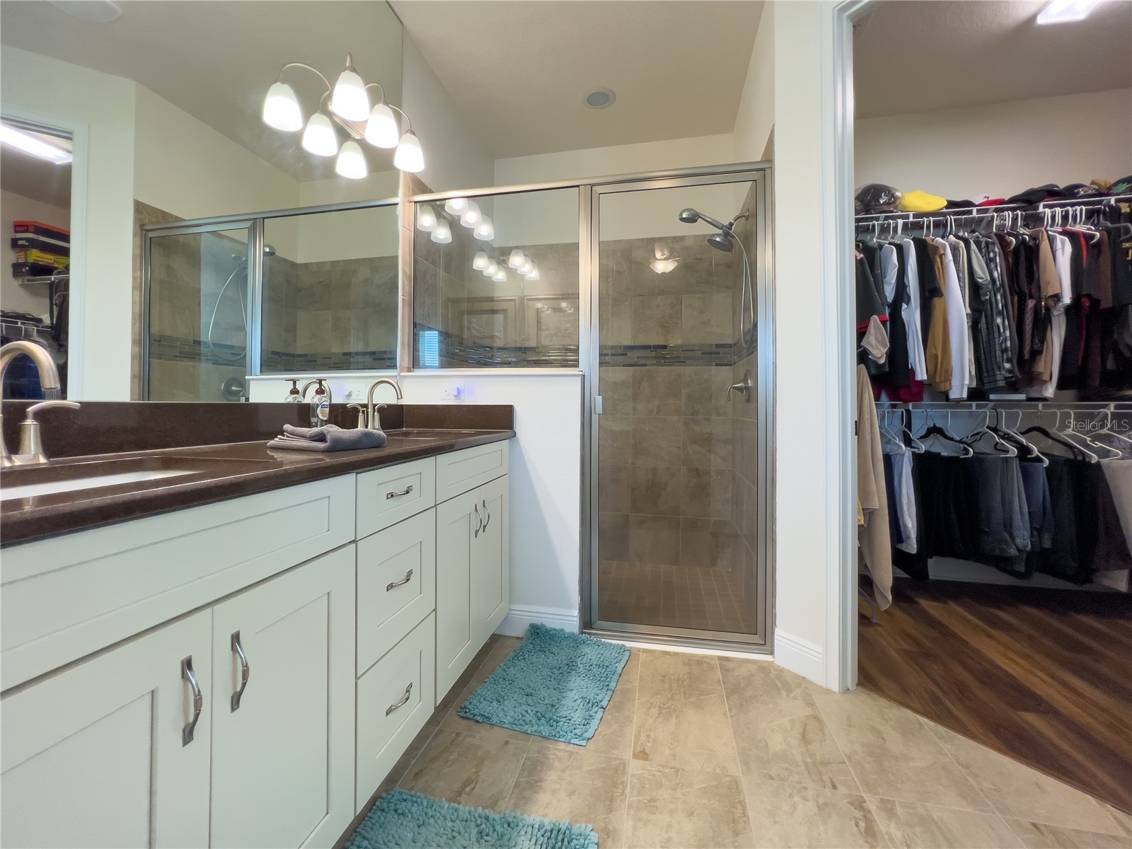 13102 Satin Lily Drive Riverview FL 33579 TB8529333 image21