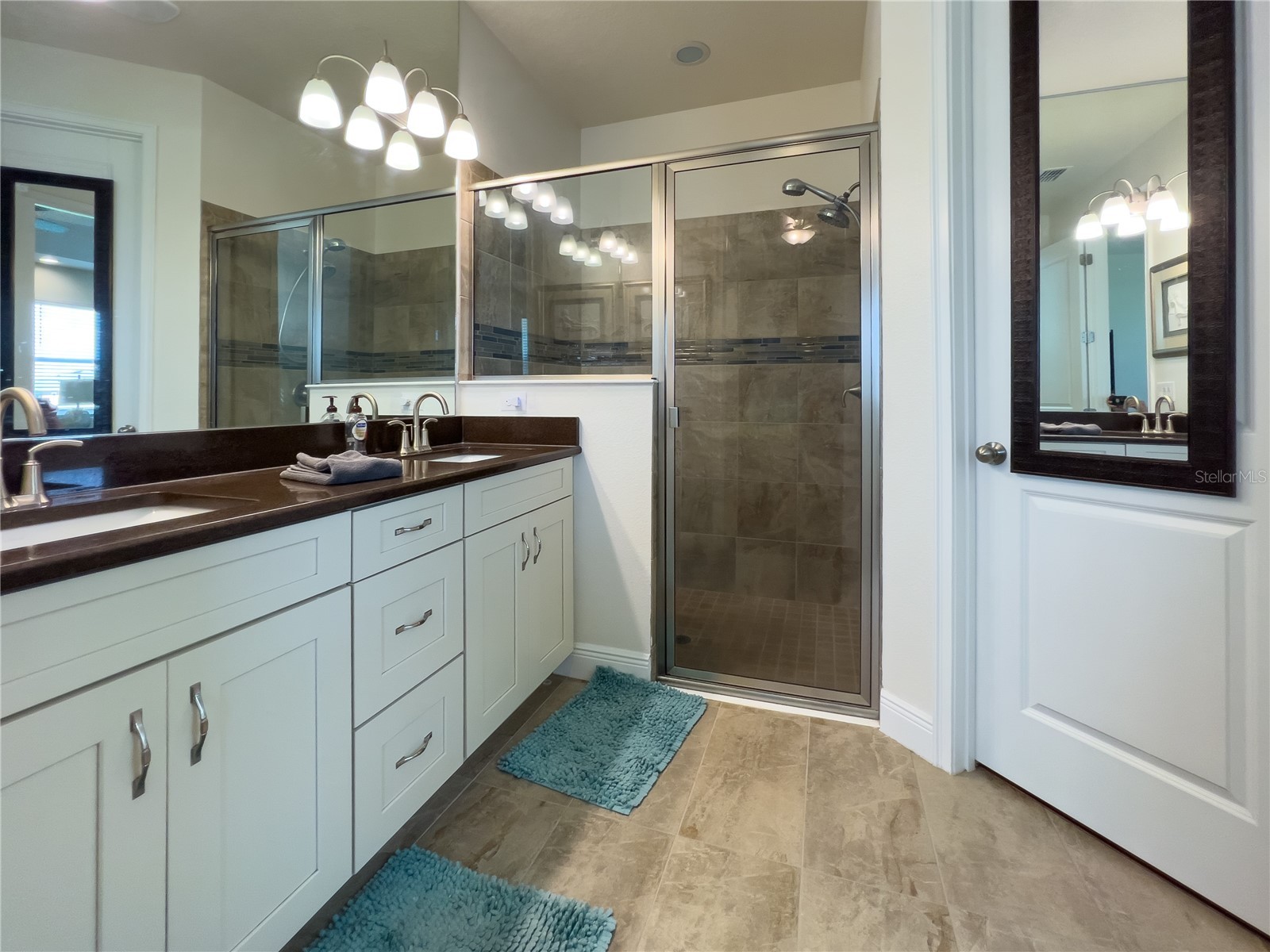 13102 Satin Lily Drive Riverview FL 33579 TB8529333 image22