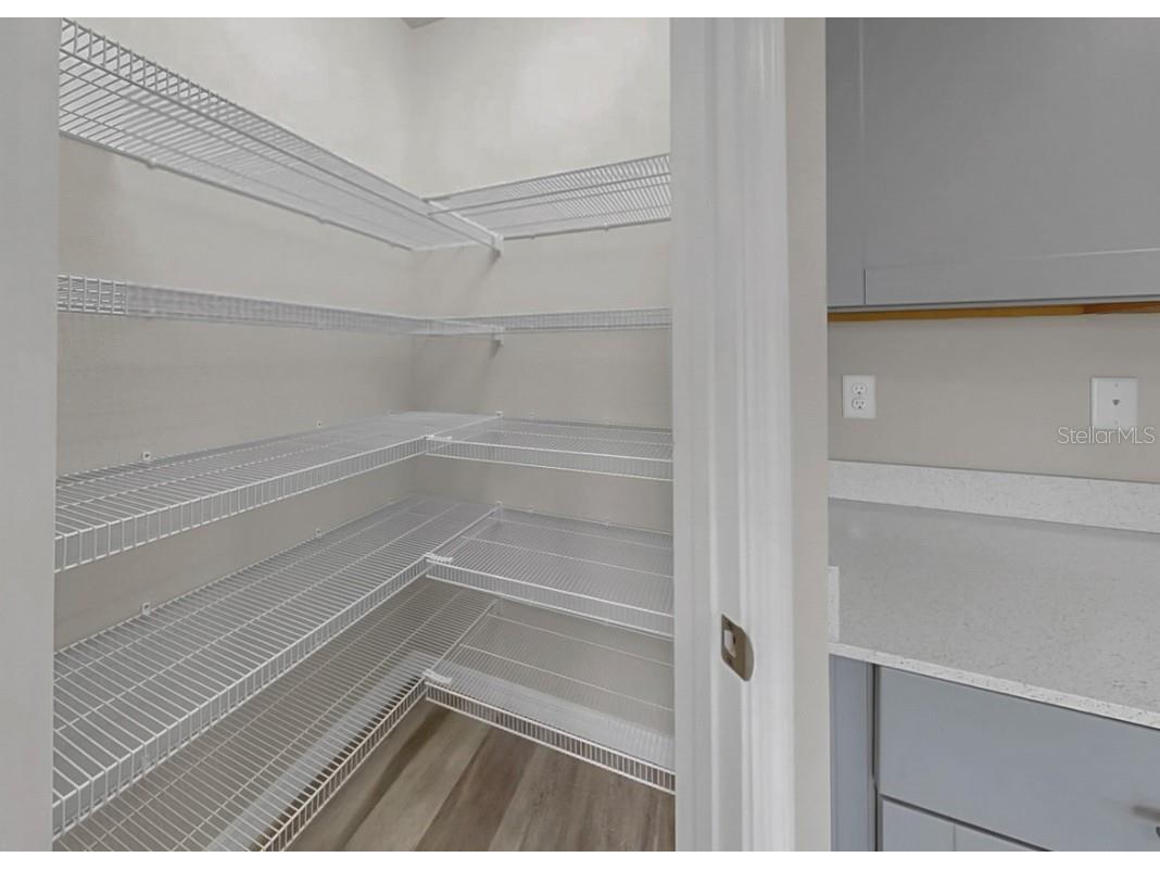 13102 Zolo Springs Circle Riverview FL 33579 TB8426292 image23