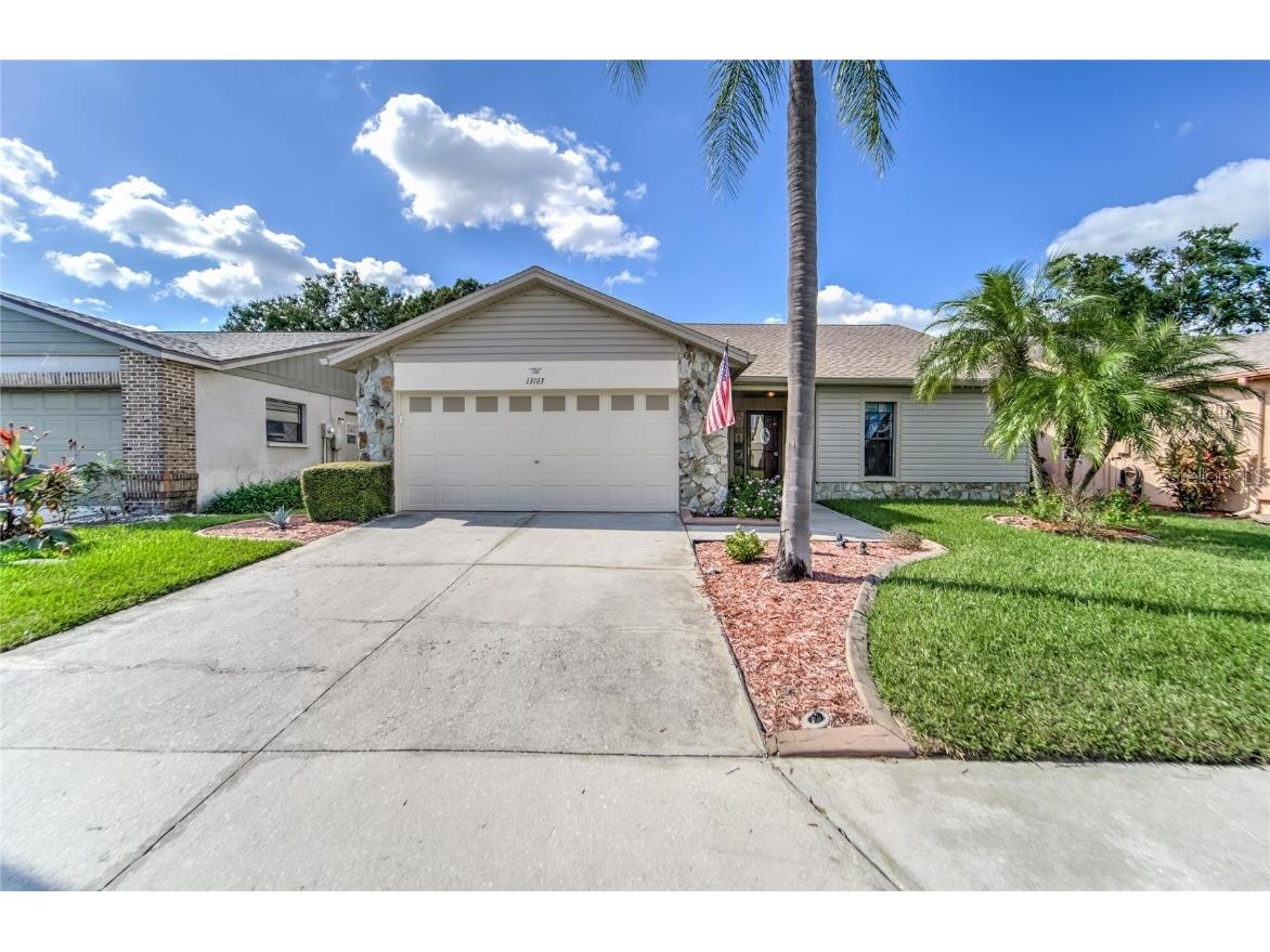 13103 Cabral Place Riverview FL 33579 T3339347 image1