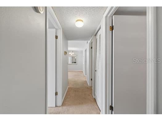 13103 Cypress Hill Drive #B2 Hudson FL 34669 W7884277 image23