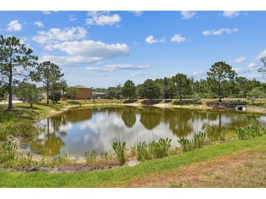 13103 Cypress Hill Drive #B2 Hudson FL 34669 W7884277 image39