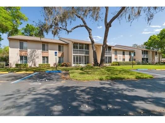 13103 Cypress Hill Drive #B2 Hudson FL 34669 W7884277 image5