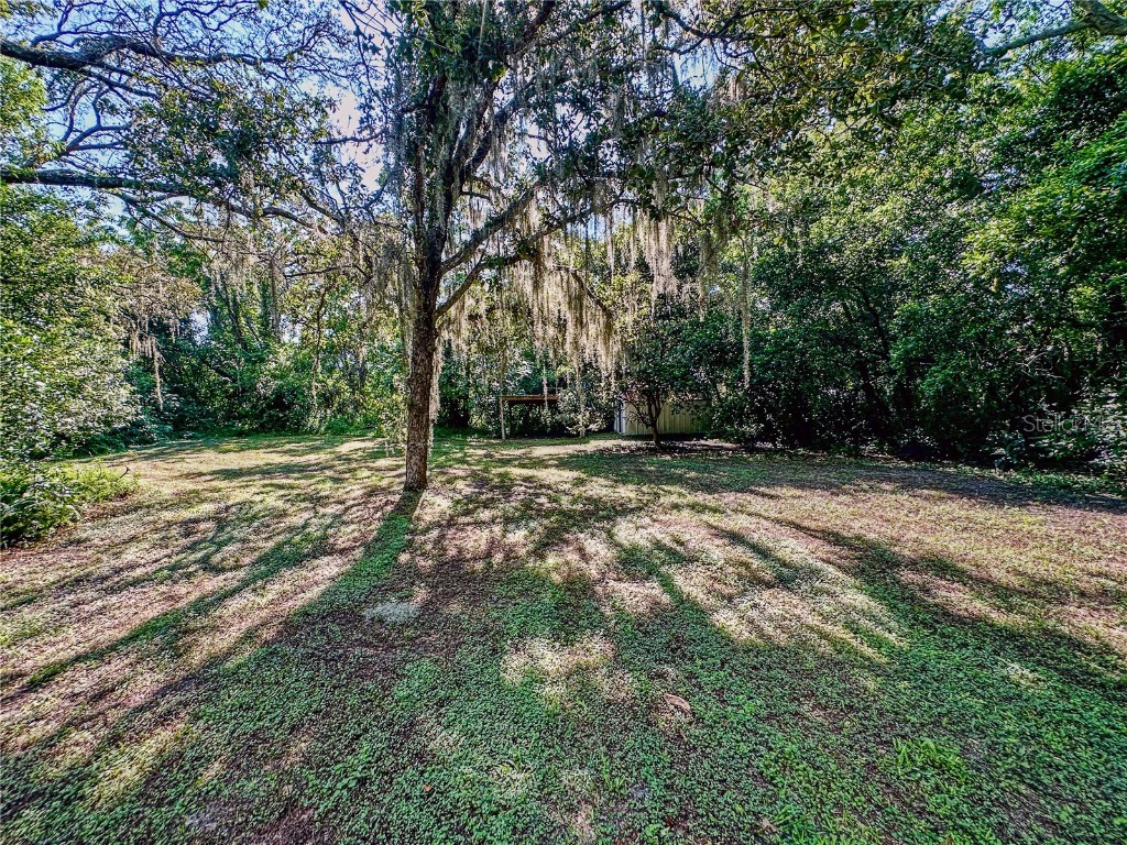 13103 Grassy Lane Hudson FL 34669 TB8418293 image34