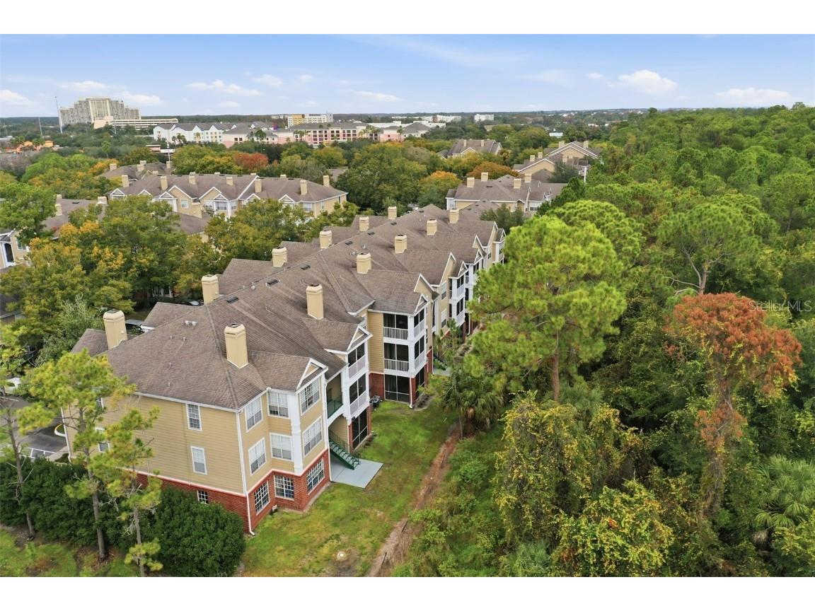 13103 Mulberry Park Drive #829 Orlando FL 32821 O6366818 image32