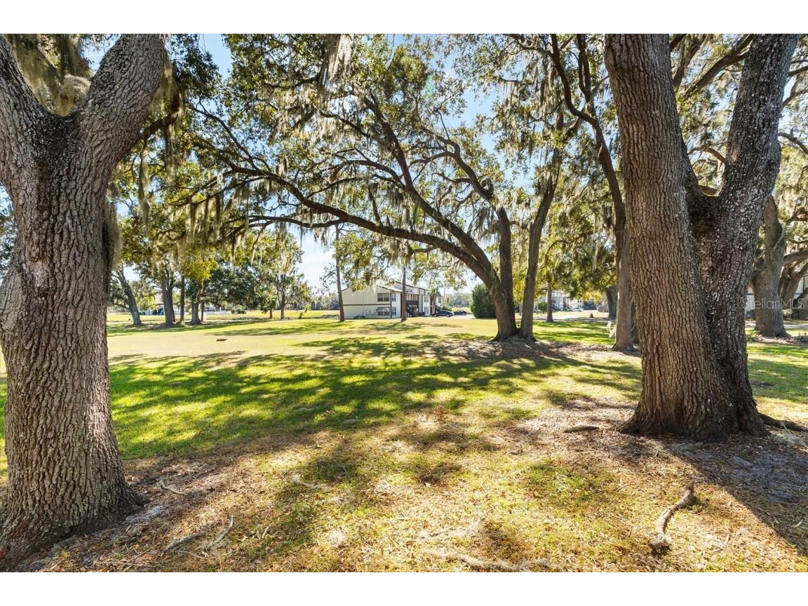 13103 Sandalwood Drive #13103 Wildwood FL 34785 G5089886 image21