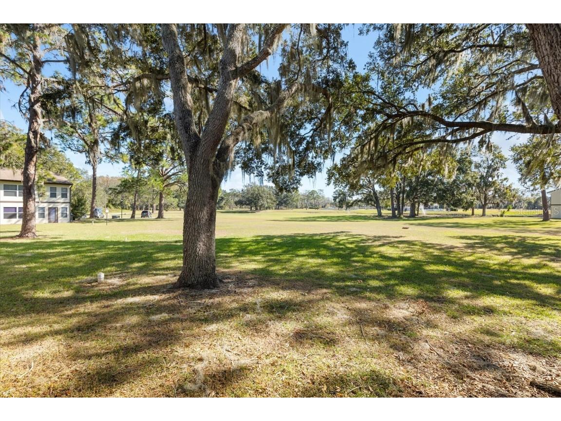 13103 Sandalwood Drive #13103 Wildwood FL 34785 G5089886 image22