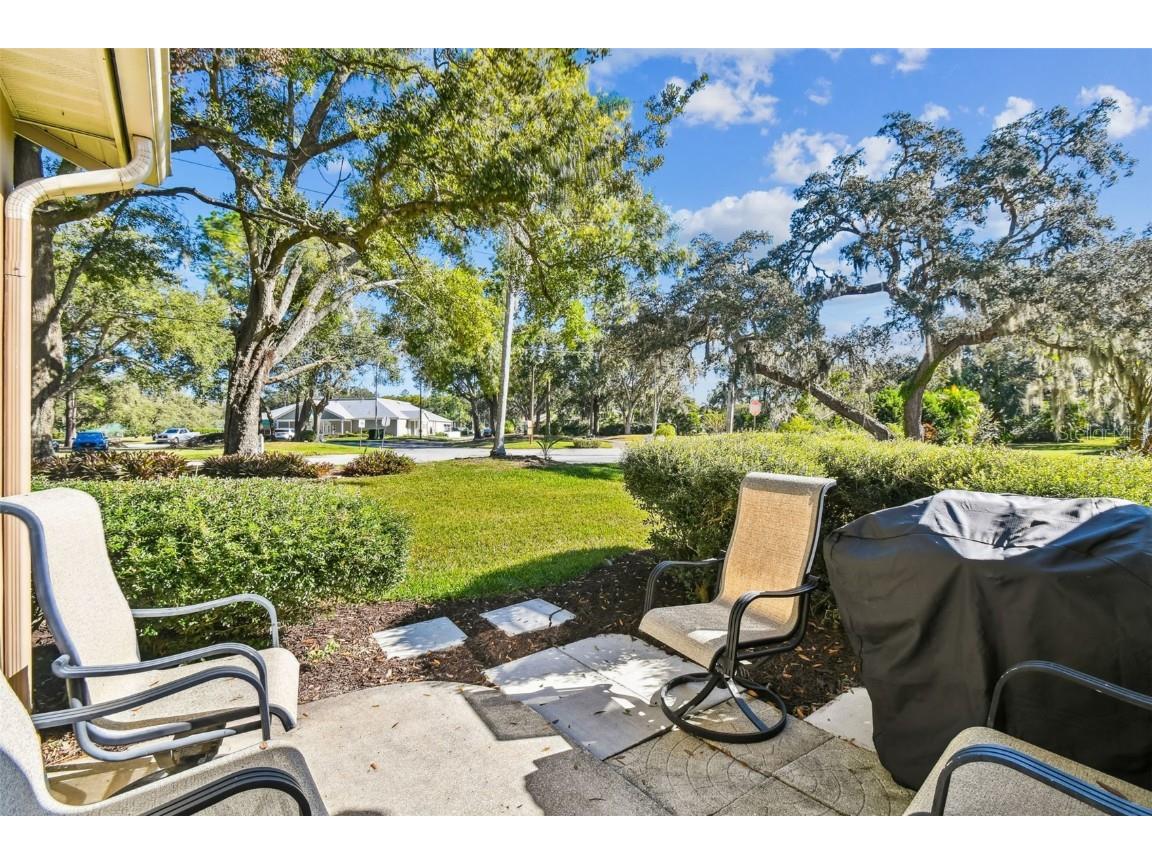 13103 Topflite Court Hudson FL 34669 W7880253 image28