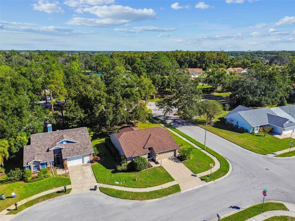 13103 Topflite Court Hudson FL 34669 W7880253 image32