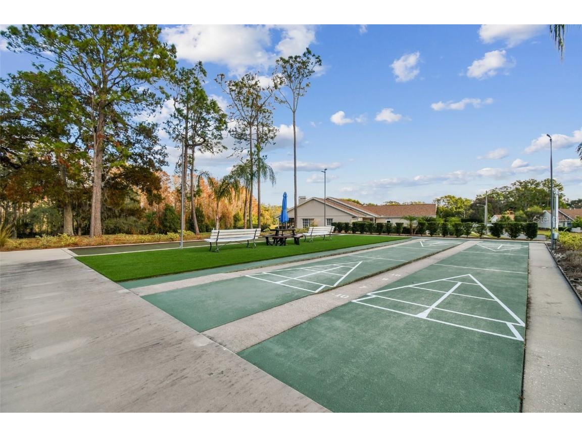 13103 Topflite Court Hudson FL 34669 W7880253 image43