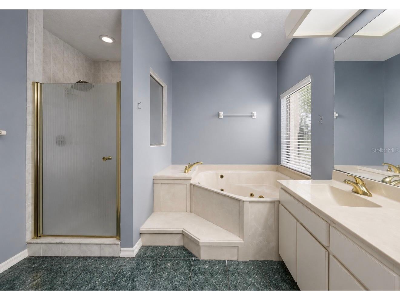 13104 Waterford Run Drive Riverview FL 33569 - ALAFIA RIVER TB8528551 image36