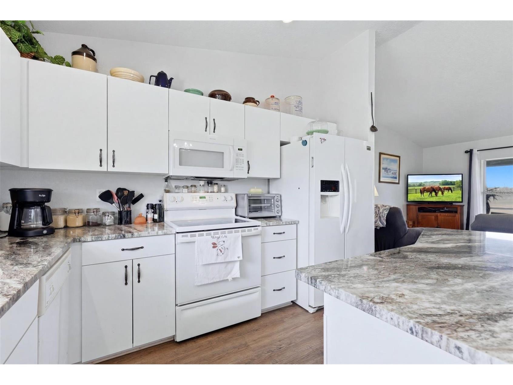 13105 Mj Road Myakka City FL 34251 A4696522 image15