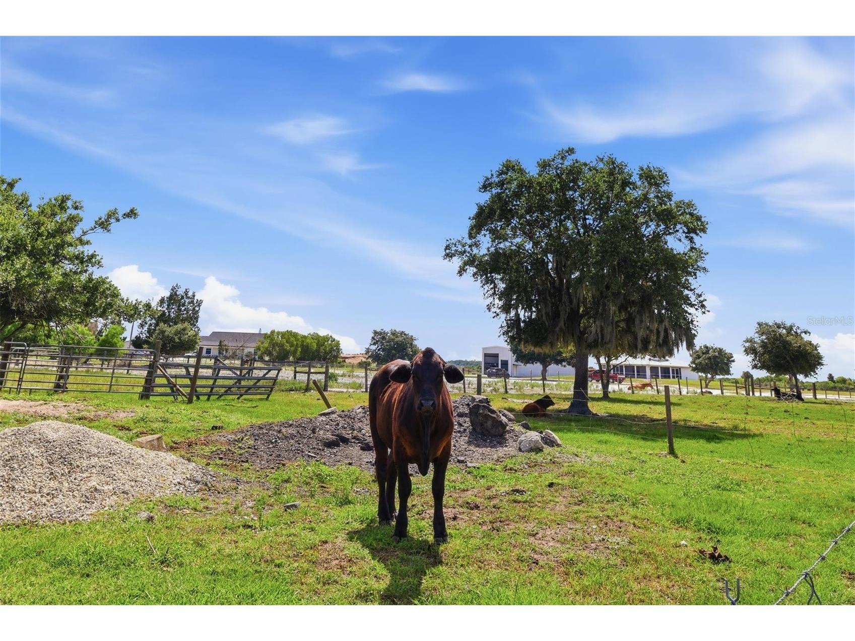 13105 Mj Road Myakka City FL 34251 A4696522 image29
