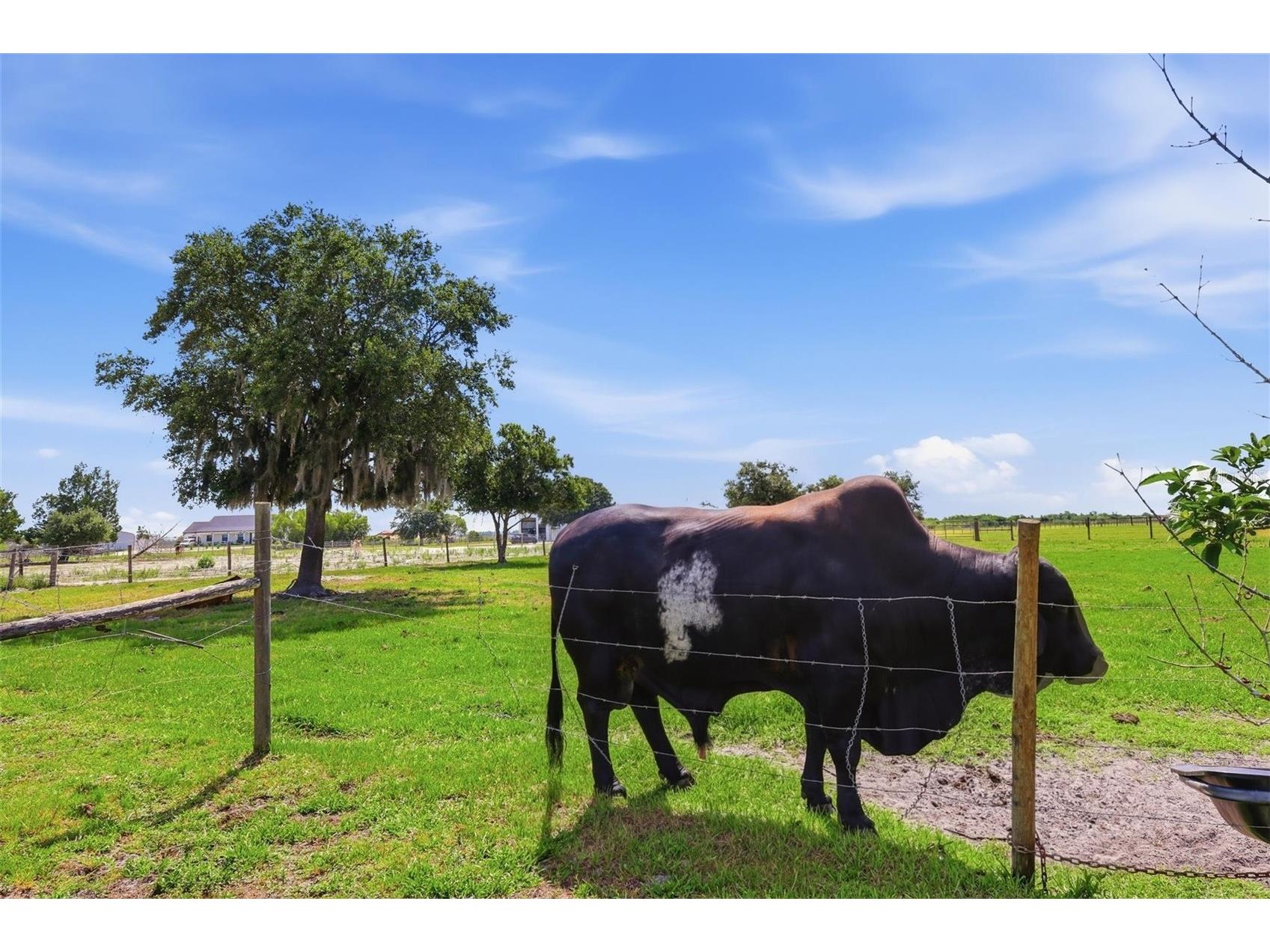 13105 Mj Road Myakka City FL 34251 A4696522 image30