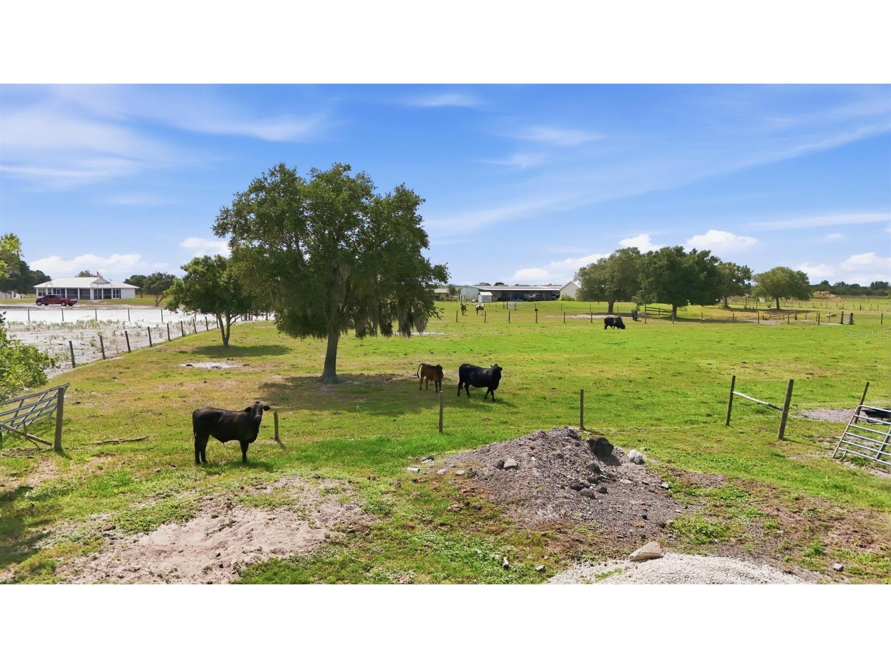 13105 Mj Road Myakka City FL 34251 A4696522 image34