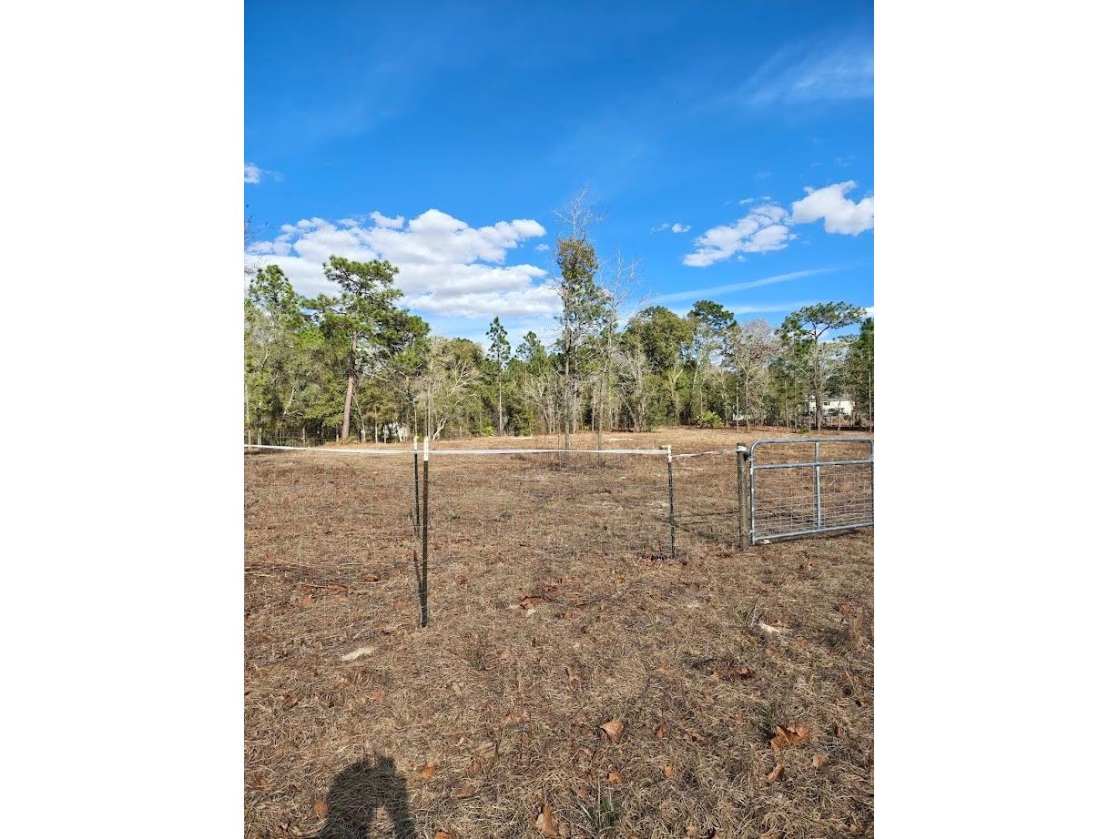 13105 SW 91st Place Dunnellon FL 34432 OM719108 image1