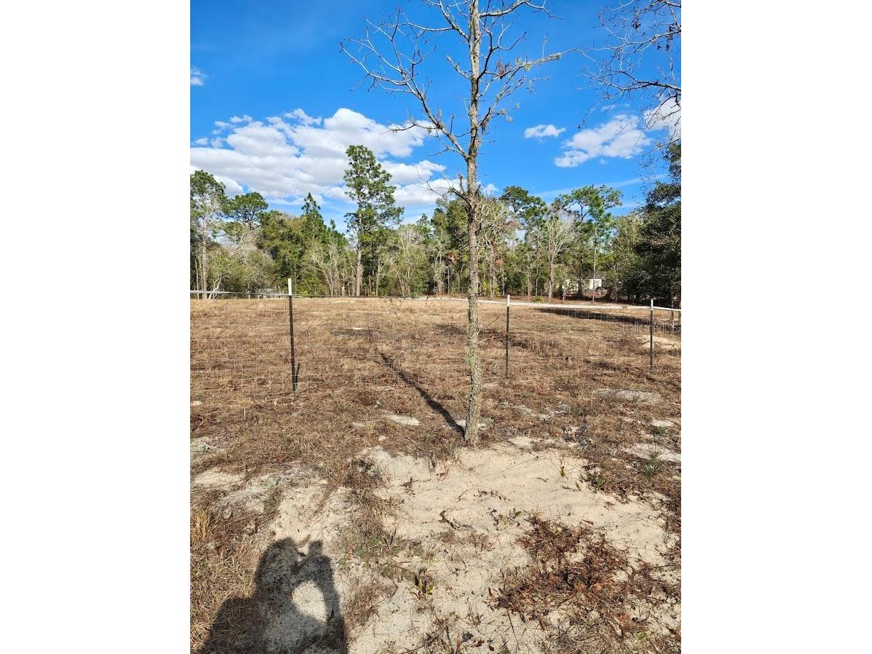 13105 SW 91st Place Dunnellon FL 34432 OM719108 image2