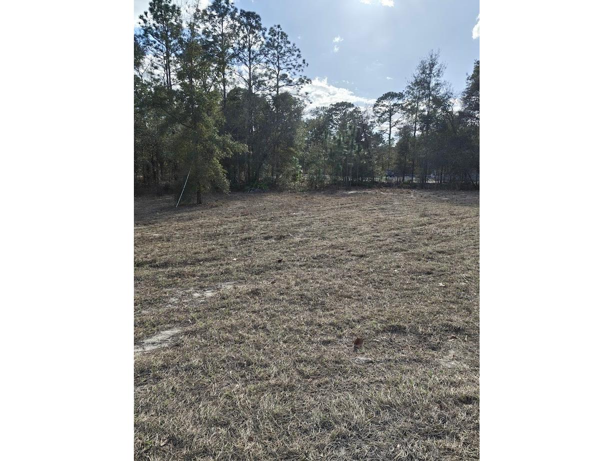 13105 SW 91st Place Dunnellon FL 34432 OM719108 image3