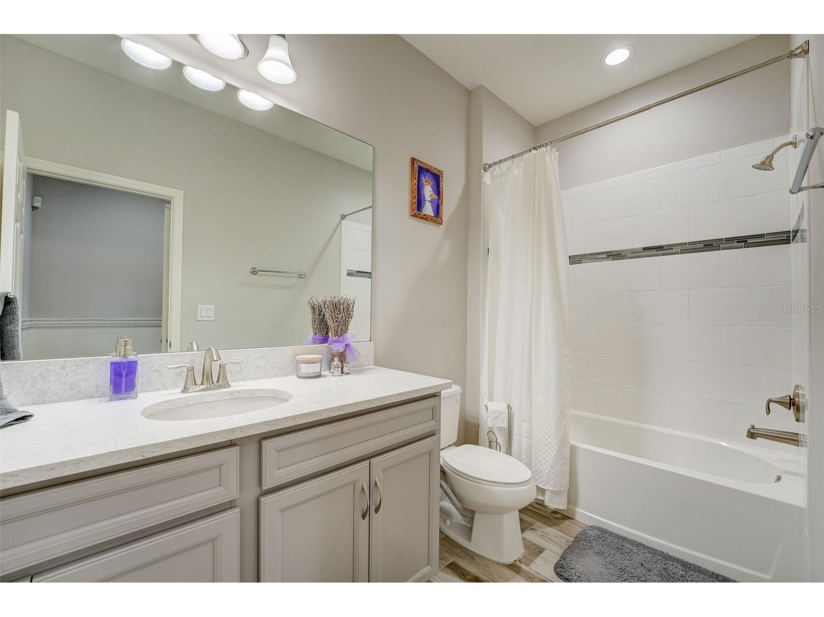 13106 Foxtail Fern Drive Riverview FL 33579 A4696207 image10