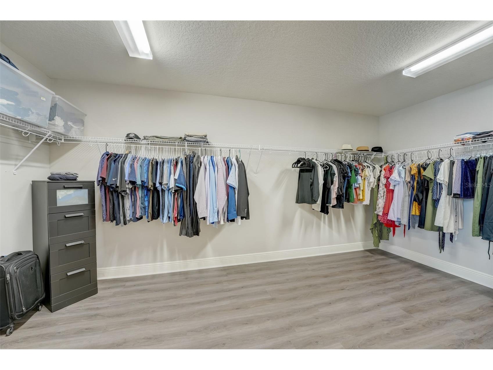 13106 Foxtail Fern Drive Riverview FL 33579 A4696207 image40