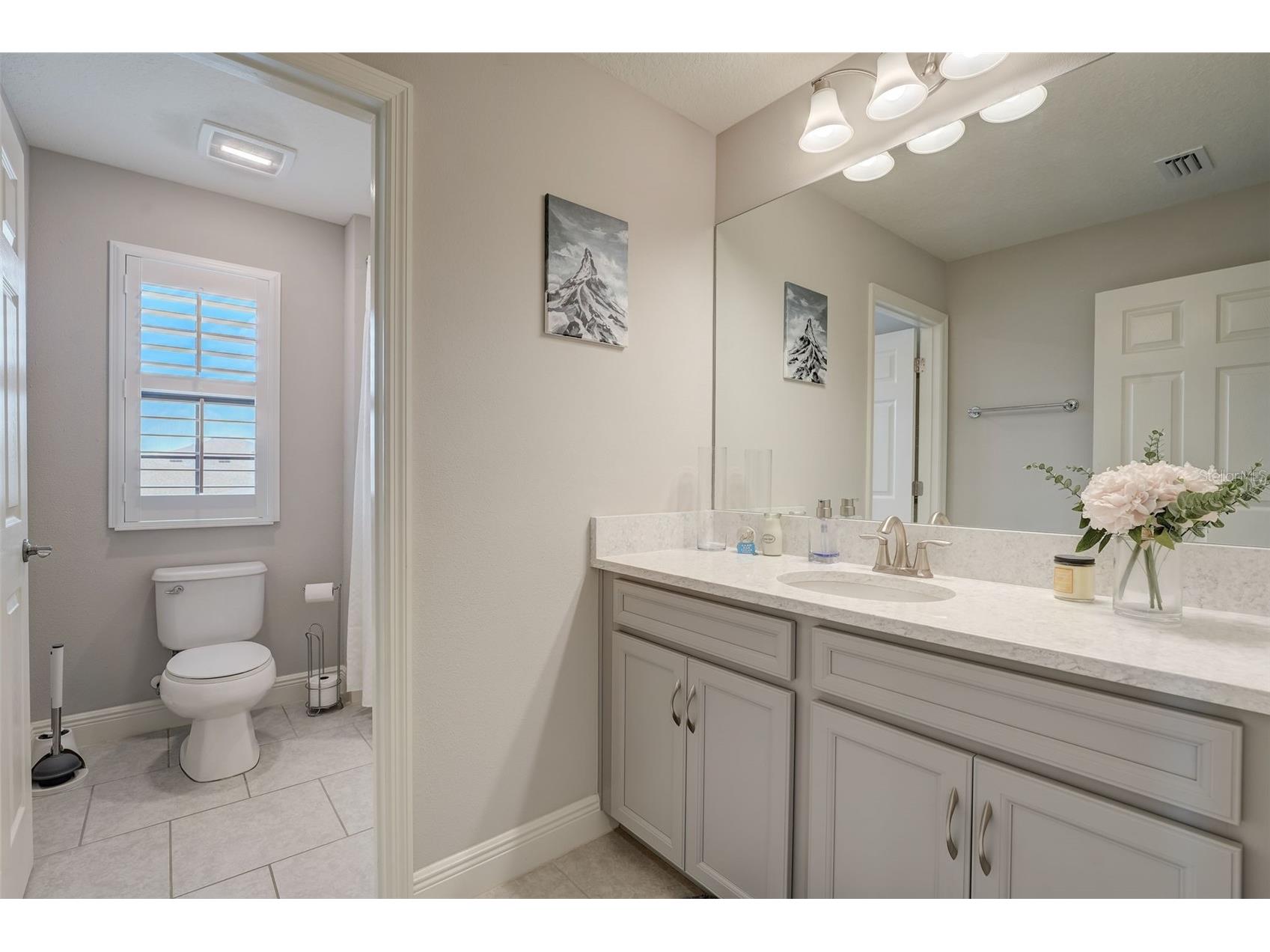 13106 Foxtail Fern Drive Riverview FL 33579 A4696207 image43