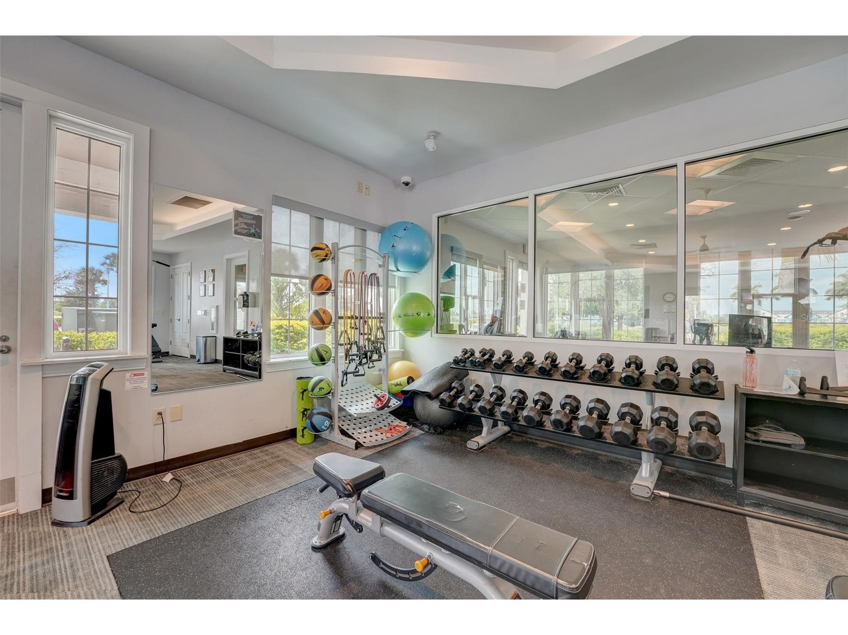 13106 Foxtail Fern Drive Riverview FL 33579 A4696207 image70