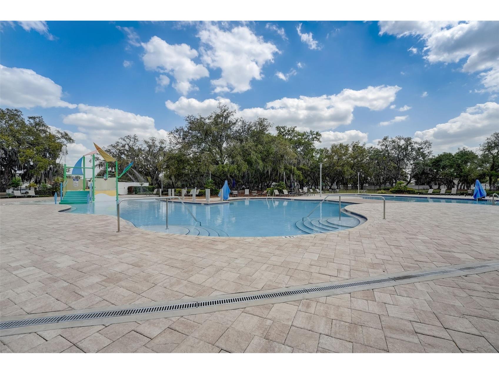 13106 Foxtail Fern Drive Riverview FL 33579 A4696207 image72