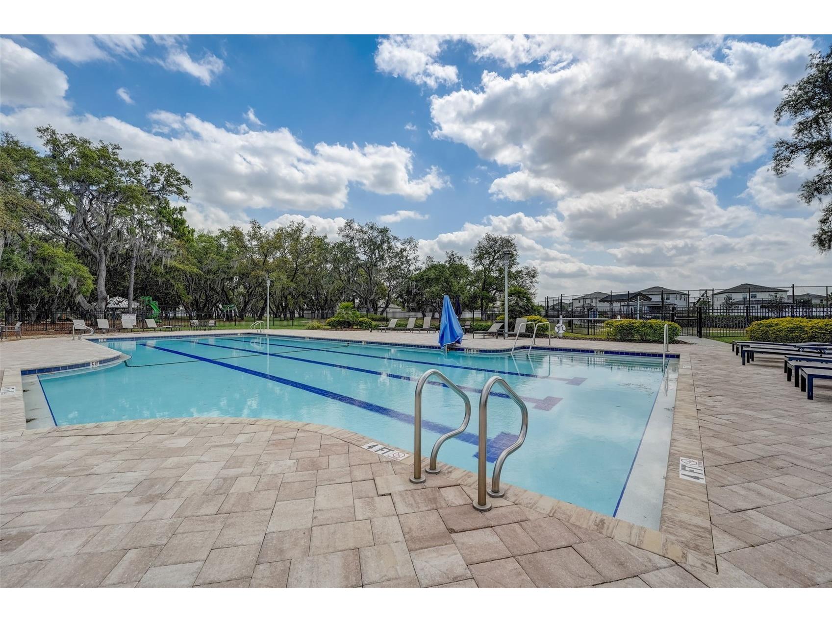 13106 Foxtail Fern Drive Riverview FL 33579 A4696207 image75