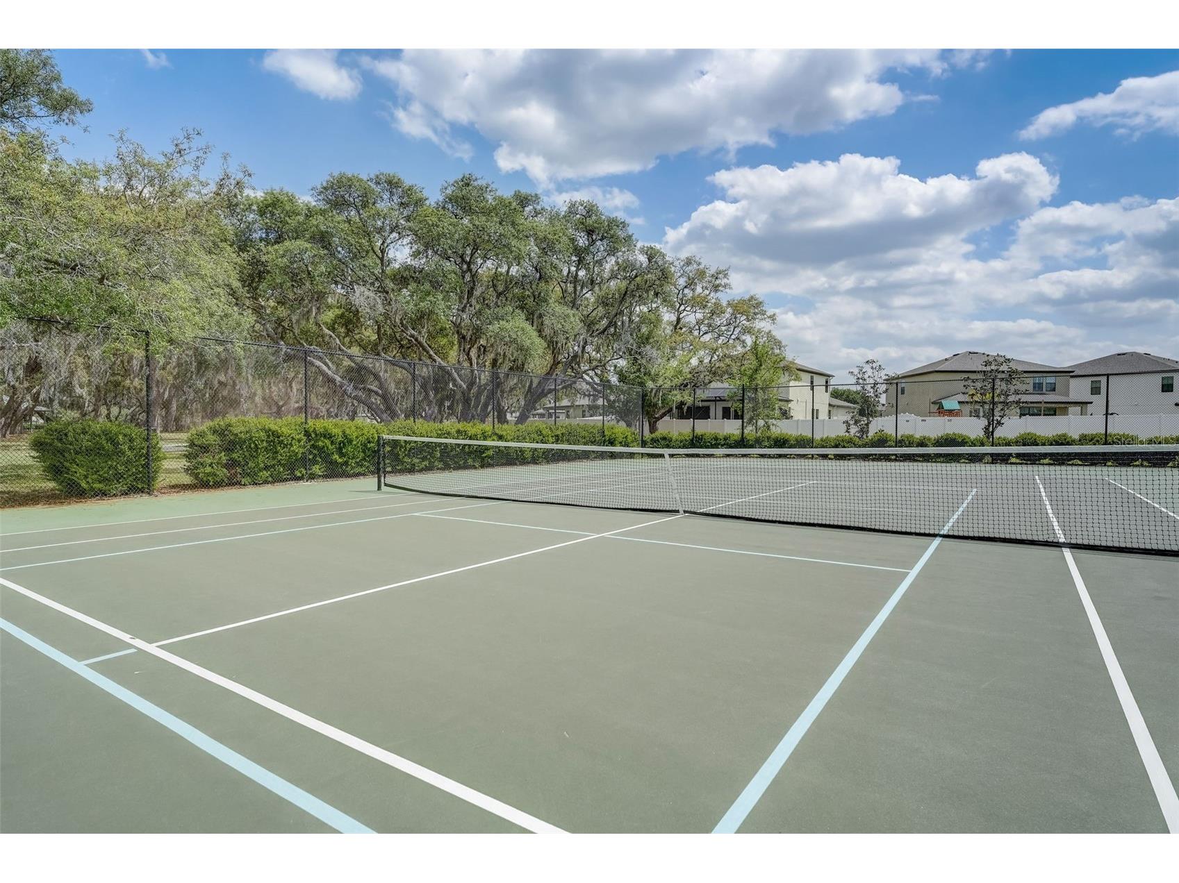 13106 Foxtail Fern Drive Riverview FL 33579 A4696207 image79